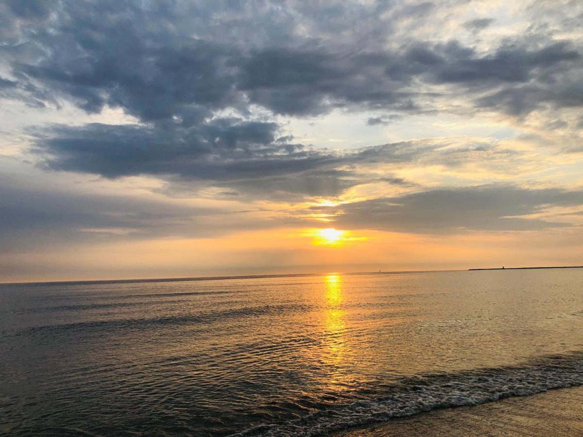 Vitamine Zee IJmuiden Kültér fotó